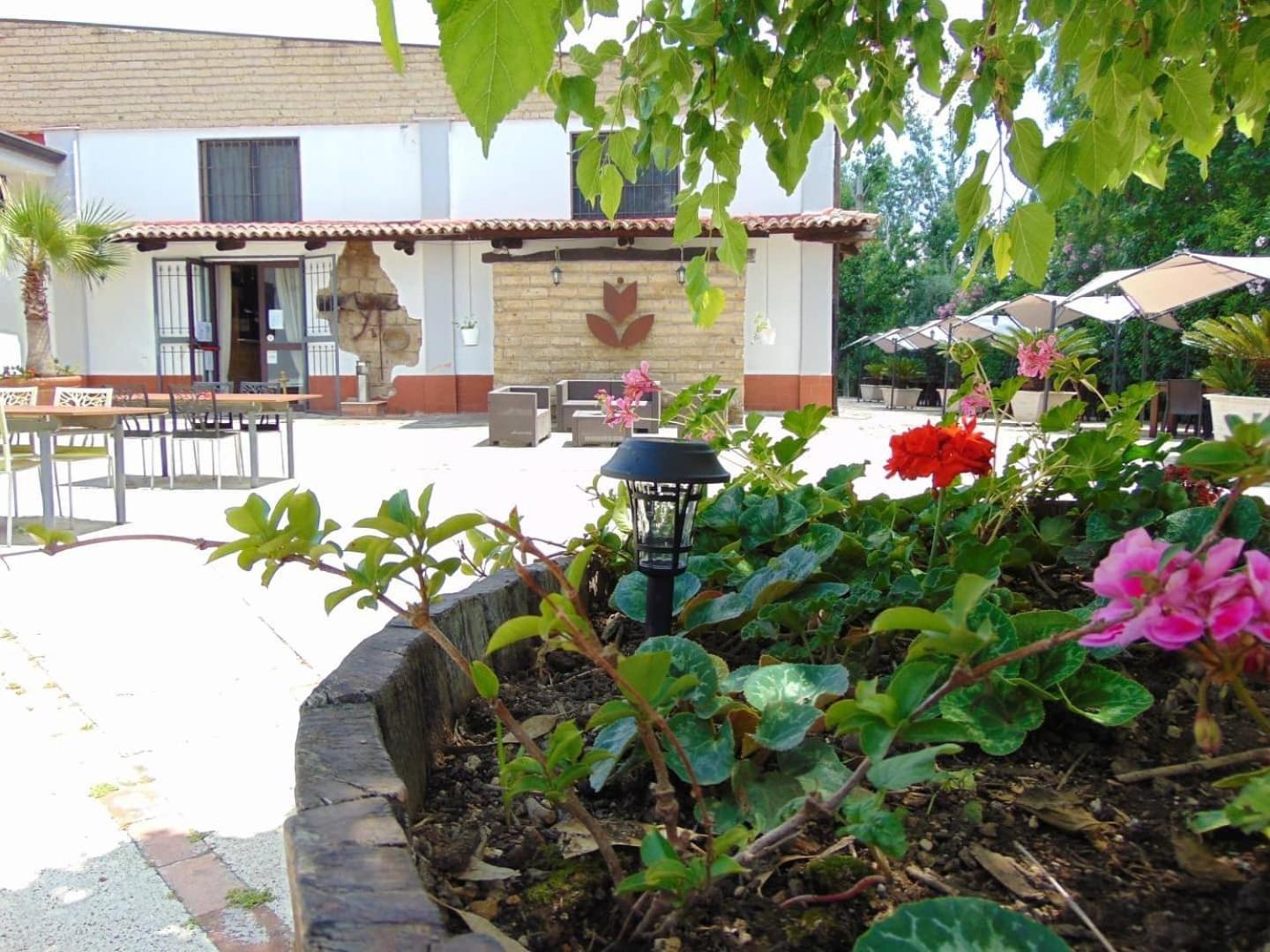 Casale Rurale Bed & Breakfast San Marco Evangelista Bagian luar foto
