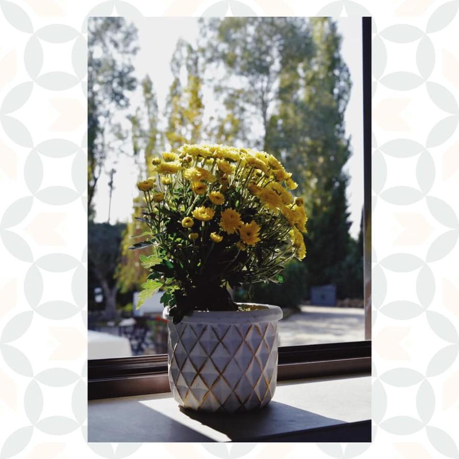 Casale Rurale Bed & Breakfast San Marco Evangelista Bagian luar foto