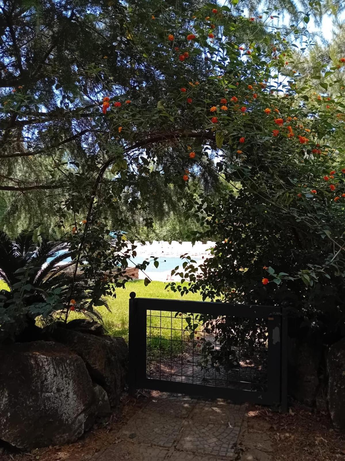 Casale Rurale Bed & Breakfast San Marco Evangelista Bagian luar foto