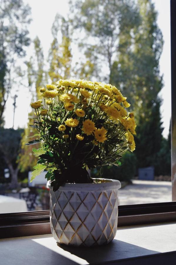 Casale Rurale Bed & Breakfast San Marco Evangelista Bagian luar foto